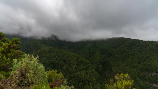 Nubes Rápidas Timelapse Sobre Selva Tropical — Vídeos de Stock