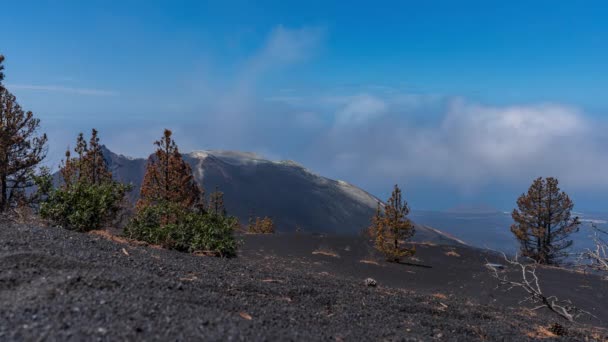 西班牙拉帕尔马岛Cumbre Vieja火山易碎的时间 — 图库视频影像