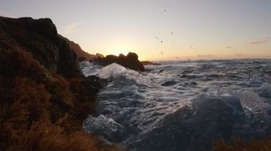 Waves breaking over the seaweeds in slow-mo at dusk