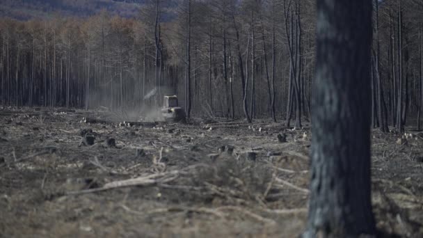 Лесозаготовительная Машина Работающая После Сильного Пожара Лесу Hdr Hlg — стоковое видео