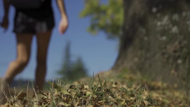Closeup Grass Blurred People Hiking Hlg — стоковое видео
