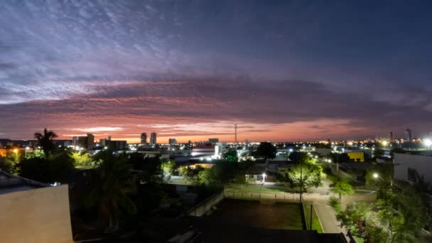 Ohromující Časová Prodleva Rušných Palmas Brazílii Úsvitu Oranžovo Modrá Obloha — Stock video