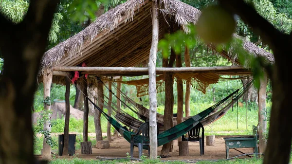 在这迷人的木屋里 在茂密的巴西绿地里 放松一下吧 木屋里有一个茅草屋 还有一个吊床等着你 — 图库照片