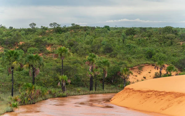 Sereniteit Natuurlijke Schoonheid Versmelten Dit Landschap Met Zand Rivier Jungle — Stockfoto