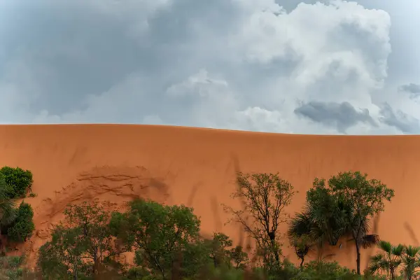 Потрясающий Природный Ландшафт Песчаной Дюной Возвышающейся Над Зелеными Джунглями Облачным — стоковое фото