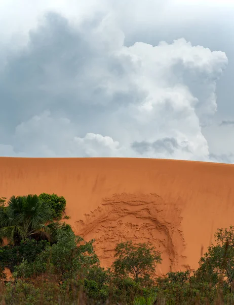 Великолепная Песчаная Дюна Возвышается Над Пышными Зелеными Джунглями Облачным Небом — стоковое фото