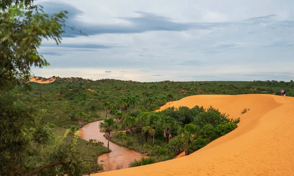 Bekijk Het Uitgestrekte Tropische Weelderige Groene Landschap Vanaf Een Zandduin — Stockfoto