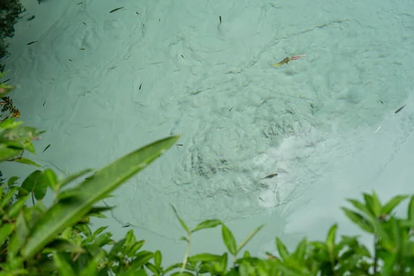Bewonder Bruisendheid Het Zand Rond Kristalhelder Water Van Fervedouro Midden — Stockfoto