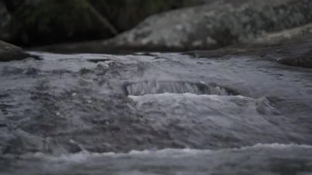 Saf Dağ Suyu Çağlayan Küçük Bir Şelalesi Olan Bir Nehrin — Stok video