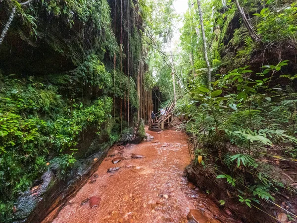 Upplev Skönheten Sussuapara Canyon Med Dess Hängande Rötter Trånga Passager — Stockfoto