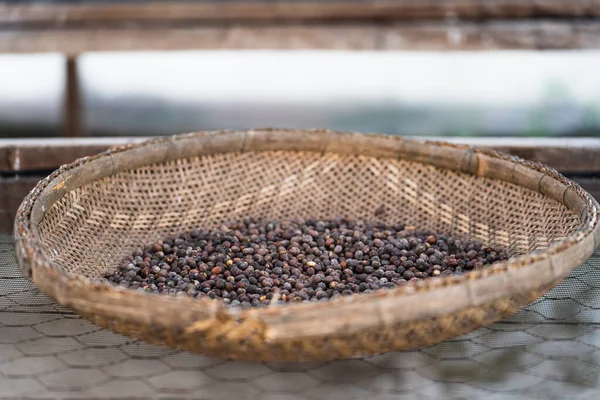 Close View Carefully Harvested Basket Fresh Organic Coffee Berries Drying — Stock Photo, Image