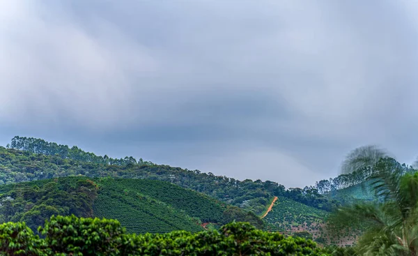 一张长长的曝光照 是一座覆盖着咖啡种植园 被浓雾环绕 绿油油的田野和森林的山 — 图库照片