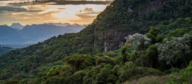 Ormanın göz kamaştırıcı gün batımı manzarası, ön planda yemyeşil orman dağları ve arka planda siluetli dağ sıraları, turuncu bir gökyüzünün ortasına kurulmuş..
