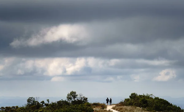 Bir Çift Bulutlu Ufukta Ele Yürür Ağaçlar Doğa Ile Çevrili — Stok fotoğraf