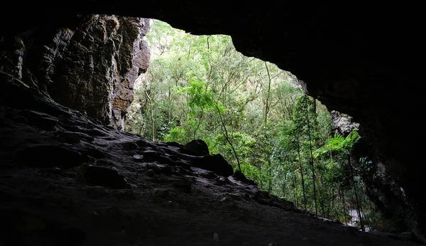 Impresionante Paisaje Natural Con Una Vista Exuberante Selva Las Oscuras —  Fotos de Stock