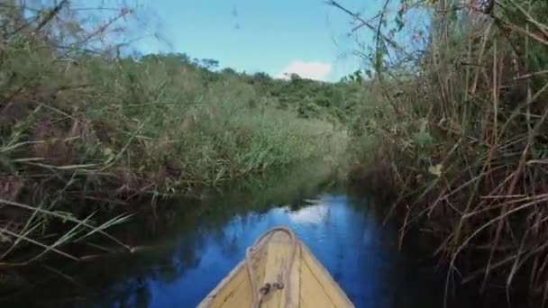 緑に囲まれた狭い運河を航行する黄色いカヌーの平和的な冒険は 未知への穏やかな旅を象徴しています — ストック動画