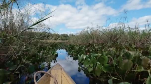 一艘黄色的小船在一条狭窄的运河中航行 周围是沼泽地 天空是晴朗的 反射在水面上 形成了美丽的蓝色色调 风景充满了绿色 — 图库视频影像