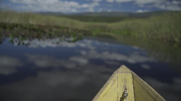 Yellow Canoe Peacefully Sails Marshland Surrounded Natural Beauty Ideal Tranquil — Stock Video