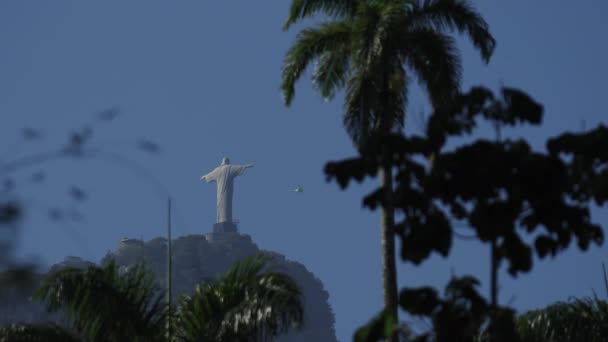 Ongelooflijk Uitzicht Rio Janeiros Christus Verlosser Met Wazige Palmbomen Aan — Stockvideo