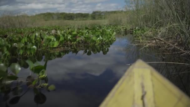 独木舟在充满植物的池塘中航行着独特的路线 重点是植物群和模糊的独木舟 — 图库视频影像