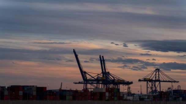 Time Lapse Busy Dock Dusk Crane Silhouettes Symbolizing Business Trade — Stock Video