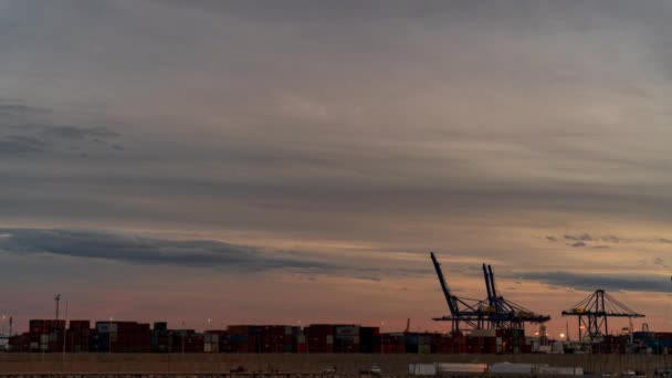 暗い空に対して荷を積み 荷を下すコンテナクレーンが付いている忙しい商業港のタイムラプス ビデオ テキストスペースあり — ストック動画