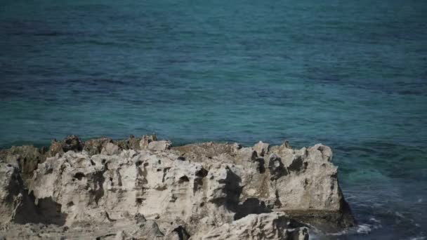 ビデオは 明確なターコイズ海からの波に絶えず打たれる海岸の光沢のある岩を特徴とし テキストのためのスペース — ストック動画