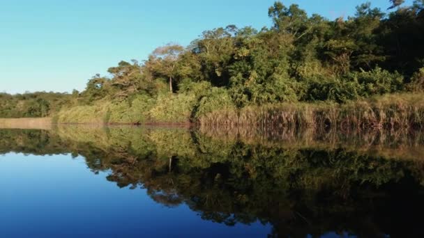 这段视频展示了在美丽的红树林中平静的旅程 在清澈的蓝天下 在平静的海水中反映了海岸线 — 图库视频影像