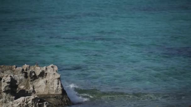 Döngüsel Video Kıyı Kayasını Şekillendiren Açık Yeşil Bir Denizin Bitmeyen — Stok video