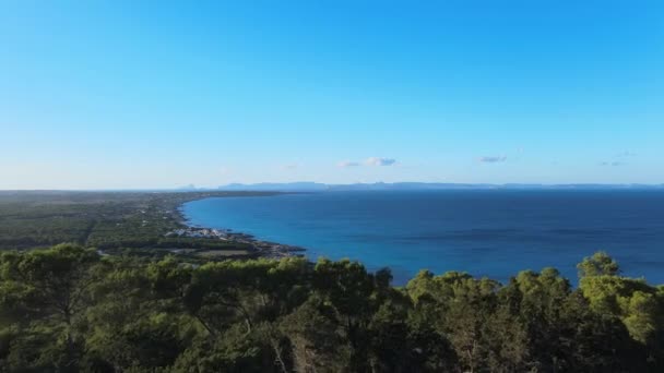 Imágenes Drones Capturan Bosques Pinos Formenteras Costas Vívidas — Vídeos de Stock