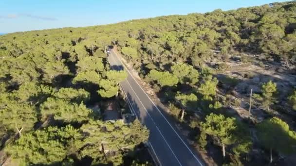 Drone Video Captura Coches Tejiendo Través Paso Montaña Rodeado Espesos — Vídeos de Stock
