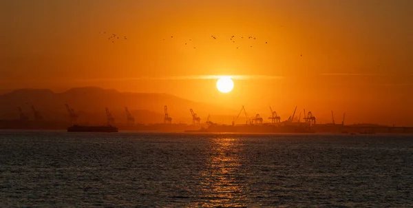 Industrial dock at sunset with cranes and birds silhouetted against a vibrant sky, showing a blend of nature and commerce.