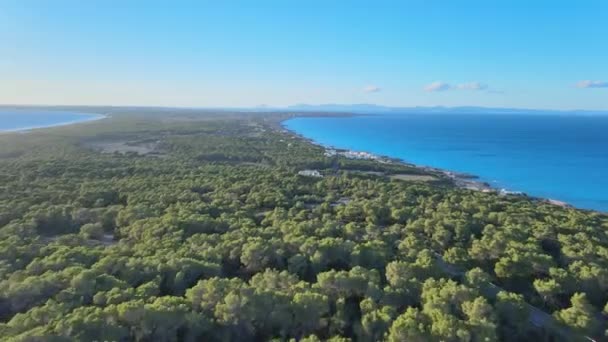 Drone Captura Pintoresca Isla Cubierta Pinos Con Costas Arenosas Aguas — Vídeo de stock