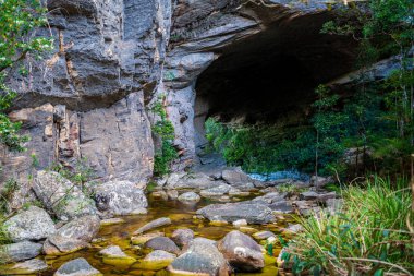 Huzurlu bir deresi olan ormanın yanında sakin bir mağara.