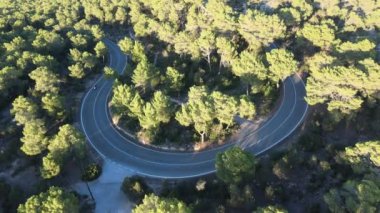 Motosiklet görüntüleri, çam ağaçları ve resimli manzarayla çevrili, döngü için uygun bir dağ virajı yolunda..