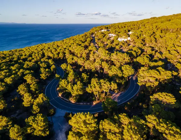 Aerial view of a coastal horseshoe curve in a pine forest.