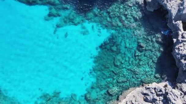 Záběry Dronů Zachycují Průsvitné Moře Skalnaté Břehy Bujnou Zeleň Nedotčené — Stock video