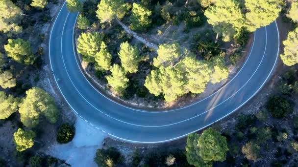 空中ビデオは松林のツイスティックな山のパス上のサイクリストを示しています — ストック動画