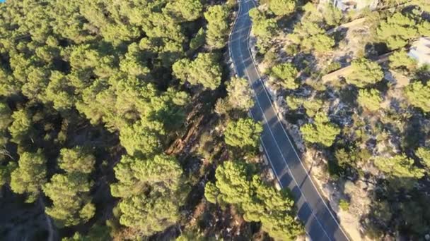 Drone Video Ciclistas Ascendiendo Paso Montaña Bordeado Pinos Atardecer — Vídeo de stock