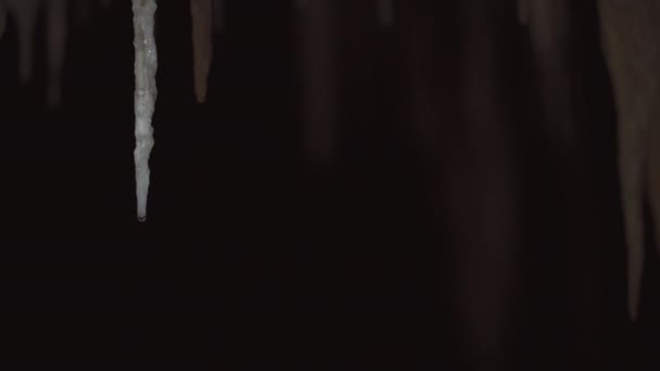 Estalactite Impressionante Uma Caverna Escura Iluminada Por Lanterna Proporcionando Amplo — Vídeo de Stock