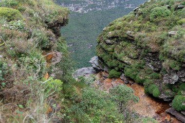 Yeşil kayalıklar ve çeşitli bitkiler kayalık bir kanyona bakar..