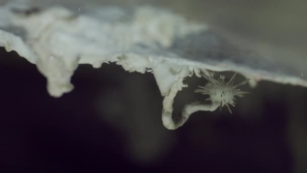 球状钟乳石从天花板伸展的探索性视频 — 图库视频影像