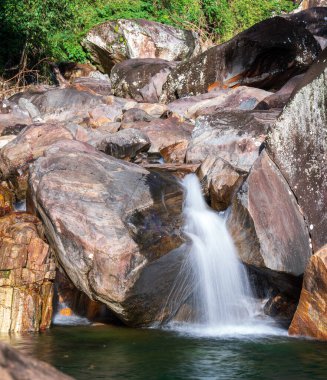 Yumuşak, pürüzsüz suyla kayalardan oluşan yemyeşil bir havuzun olduğu büyüleyici bir orman sahnesi..