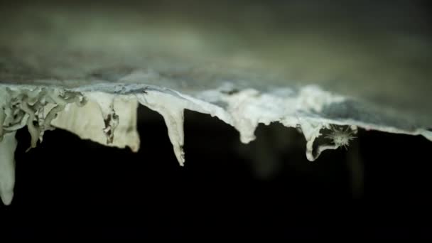 Prozkoumaná Ledová Jeskyně Saturnovou Formací Stalaktity Ohromujícím Videu — Stock video