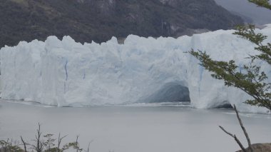 Serene video showcasing a tree with Perito Moreno Glacier and an ice tunnel backdrop. clipart