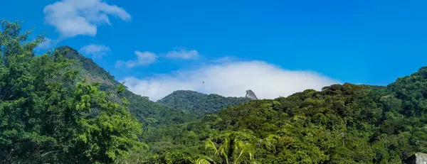 stock image A wide view of a lively tropical rainforest canopy under a clear blue sky and Papagayo peak in the background