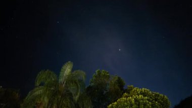 Gece vakti tropikal bir adanın zamanı hızla hareket eden yıldızları ve gökyüzünde bulutları olan ağaçları gözler önüne seriyor..