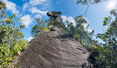 Ayırt edici bir papagayo kayalık zirvesi, yemyeşil tropikal bitki örtüsüyle çevrili açık mavi bir gökyüzüne karşı duruyor..