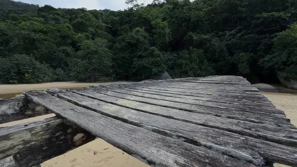 stock image An old wooden bridge stands alone over a sandy beach, surrounded by dense green jungle, with no people in sight.