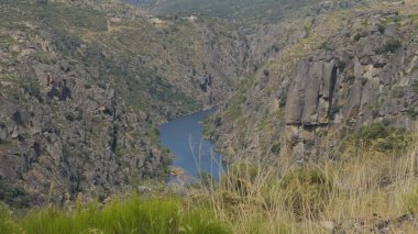 Görkemli Duero Nehri Kanyonu 'nu verimli yeşillikler, uçurumlar ve yaz güneşinin altında akan suyla görüntüleyen çarpıcı bir video..